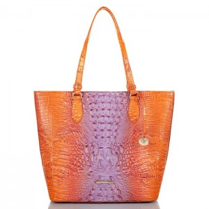 Women's Brahmin Ellen Tote Bags Daiquiri Ombre Melbourne | WZRL7523