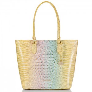 Women's Brahmin Ellen Tote Bags Daybreak Ombre Melbourne | RKOV8527