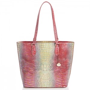 Women's Brahmin Ellen Tote Bags Dragonfruit Ombre Mini Melbourne | FIMI8615