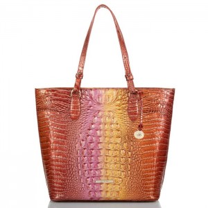 Women's Brahmin Ellen Tote Bags Glam Ombre Melbourne | HAVY5516