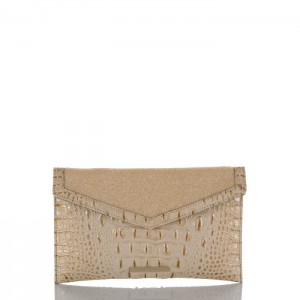 Women's Brahmin Envelope Clutch Clutch Bags Satin Golightly | XAZA8704