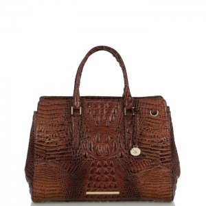 Women's Brahmin Finley Carryall Satchel Bags Pecan Melbourne | RMFS5732