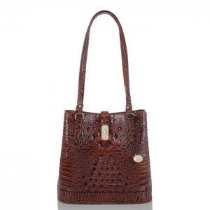 Women's Brahmin Fiora Bucket Bags Pecan Melbourne | QBNR4830