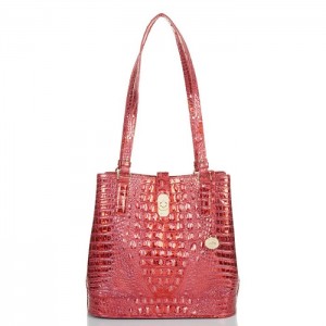 Women's Brahmin Fiora Bucket Bags Red | AQCO1568