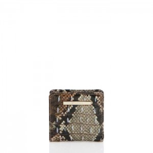 Women's Brahmin Jane Wallets Diamondback Ombre Melbourne | RUEG9680