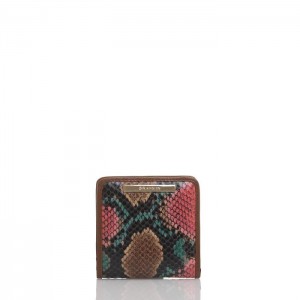 Women's Brahmin Jane Wallets Melbourne | YVJY1205