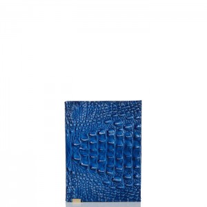 Women's Brahmin Journal Accessories Blue | RGGT5020