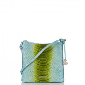 Women's Brahmin Katie Crossbody Bags Limeade Rivers | ZALS9643