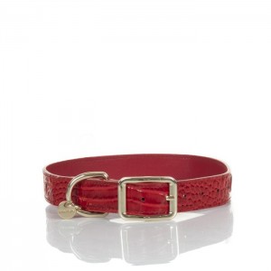 Women's Brahmin Large Pet Collar Pet Accessories Carnation Melbourne | BXZZ1574