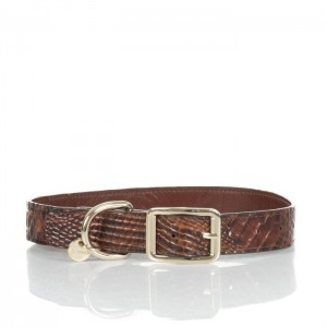 Women's Brahmin Large Pet Collar Pet Accessories Pecan Melbourne | MAFM3162