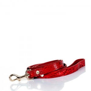 Women's Brahmin Large Pet Leash Pet Accessories Carnation Melbourne | AVPT8319