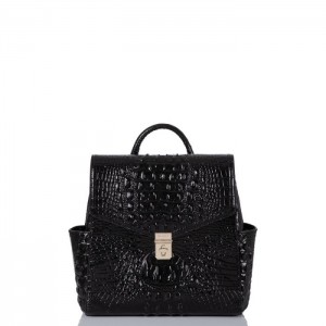 Women's Brahmin Liz Backpacks Black | OXXV5976