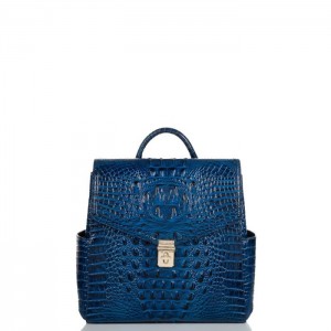 Women's Brahmin Liz Backpacks Blue | DHHD3410