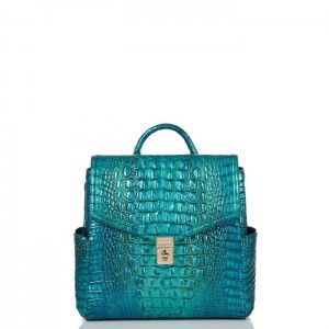 Women's Brahmin Liz Backpacks Peacock | ANJO2157