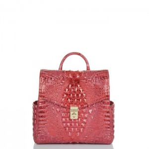 Women's Brahmin Liz Backpacks Red | OHTK1507