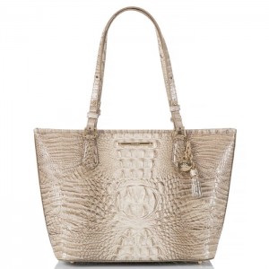 Women's Brahmin Medium Asher Tote Bags Clay Melbourne | ESYA5654