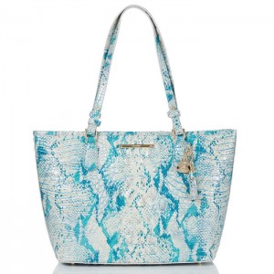 Women's Brahmin Medium Asher Tote Bags Mesmerized Melbourne | ZUSA8202