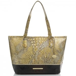 Women's Brahmin Medium Asher Tote Bags Melbourne | LOTT4565