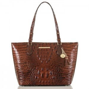 Women's Brahmin Medium Asher Tote Bags Pecan Melbourne | SSML9196