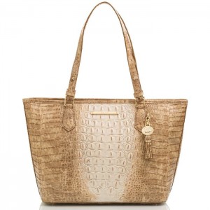 Women's Brahmin Medium Asher Tote Bags Praline Ombre Melbourne | FJVE0711