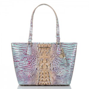 Women's Brahmin Medium Asher Tote Bags Seltzer Ombre Melbourne | CWBQ7696