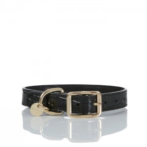 Women's Brahmin Medium Pet Collar Pet Accessories Black | UQEM8270