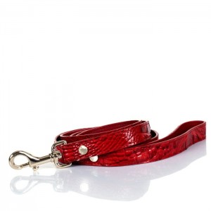 Women's Brahmin Medium Pet Leash Pet Accessories Carnation Melbourne | FJJR8419