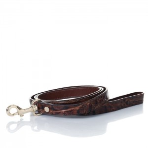 Women's Brahmin Medium Pet Leash Pet Accessories Pecan Melbourne | UVKW5601