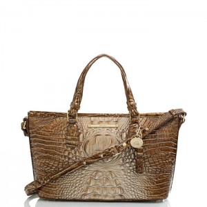 Women's Brahmin Mini Asher Satchel Bags Melbourne | TJXL2814