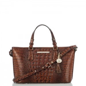 Women's Brahmin Mini Asher Satchel Bags Pecan Melbourne | TSGP1974