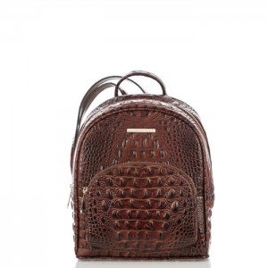 Women's Brahmin Mini Dartmouth Backpacks Pecan Melbourne | BWBH0733