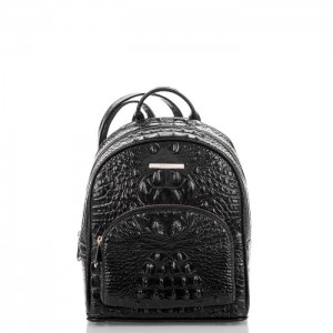 Women's Brahmin Mini Dartmouth Backpacks Black | JCSR0705