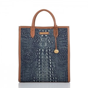 Women's Brahmin Monique Tote Bags Blue | GOLI3251