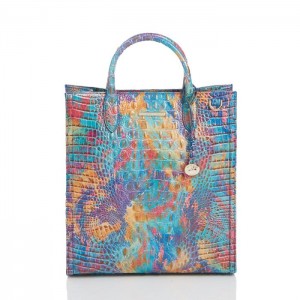 Women's Brahmin Monique Tote Bags Crush Melbourne | AGPC1575