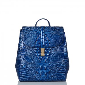 Women's Brahmin Sadie Backpacks Blue | UCOF3671