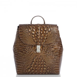 Women's Brahmin Sadie Backpacks Teak Ombre Melbourne | ETHH6364