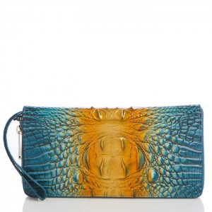 Women's Brahmin Skyler Wallets Bermuda Ombre Melbourne | WXNC7856