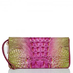 Women's Brahmin Skyler Wallets Limeade Ombre Melbourne | HPNS0880