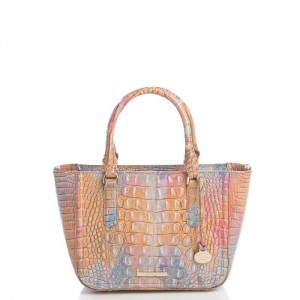 Women's Brahmin Small Ashlee Satchel Bags Courage Melbourne | HYRW8530