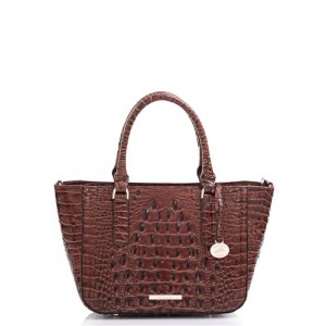 Women's Brahmin Small Ashlee Satchel Bags Pecan Melbourne | GXWA0428