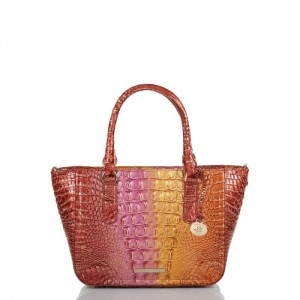 Women's Brahmin Small Ashlee Satchel Bags Glam Ombre Melbourne | ABXK8912