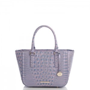 Women's Brahmin Small Ashlee Satchel Bags Purple | NNIV8393