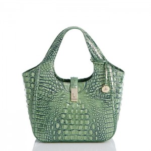 Women's Brahmin Small Carla Satchel Bags Agave Melbourne | CDEB8579