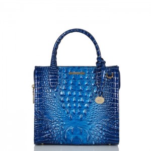 Women's Brahmin Small Caroline Satchel Bags Blue | PDXM1242