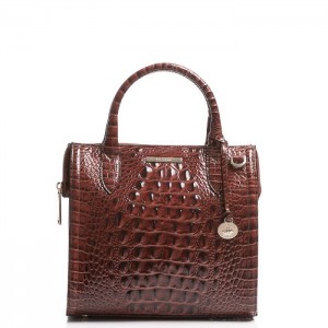 Women's Brahmin Small Caroline Satchel Bags Pecan Melbourne | CTNQ0292