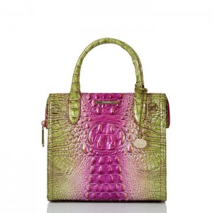 Women's Brahmin Small Caroline Satchel Bags Limeade Ombre Melbourne | IDLZ0832