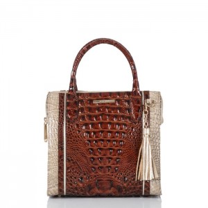 Women's Brahmin Small Caroline Satchel Bags Clay Caye | UPRA5787