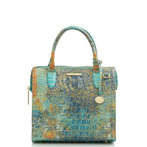 Women's Brahmin Small Caroline Satchel Bags Reef Melbourne | QDCL6196