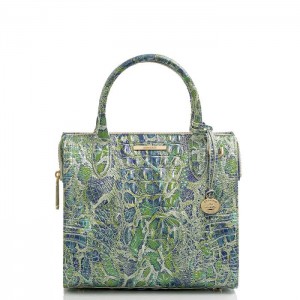 Women's Brahmin Small Caroline Satchel Bags Green | HFAA6058