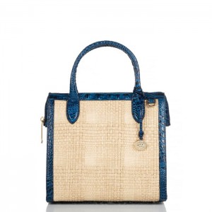 Women's Brahmin Small Caroline Satchel Bags Blue | WMXX8027